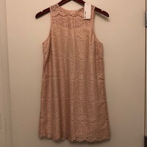 Lace Shift Dress in Blush Pink
